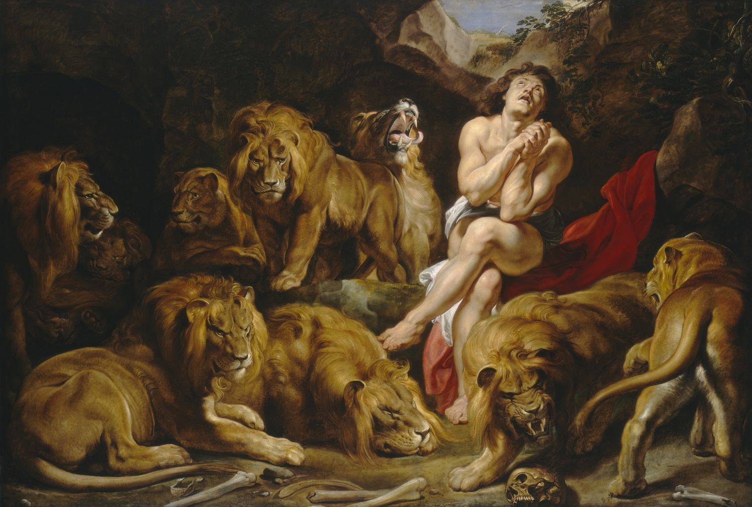 Daniel in the Lions' Den, by Sir Peter Paul Rubens, 1614-1616, Flemish painting, oil on canvas. God closed the jaws of the lions, as Daniel prayed in the lion's den. King Darius the Mede was tricked into signing Daniel's death warrant by jealous colleague